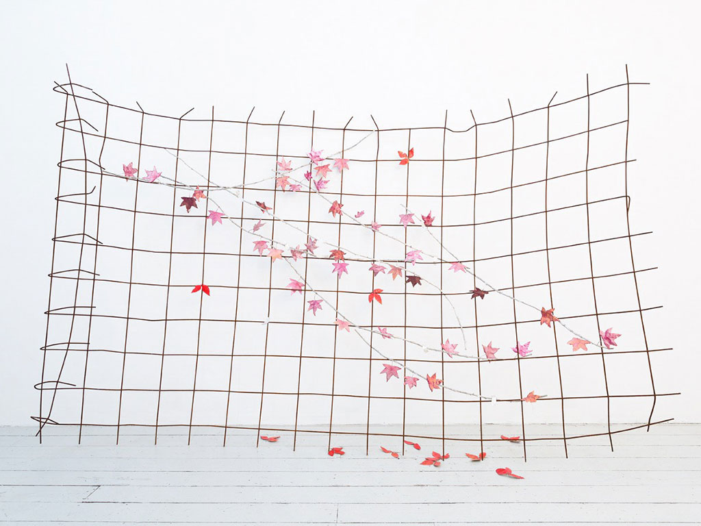 natalie dray