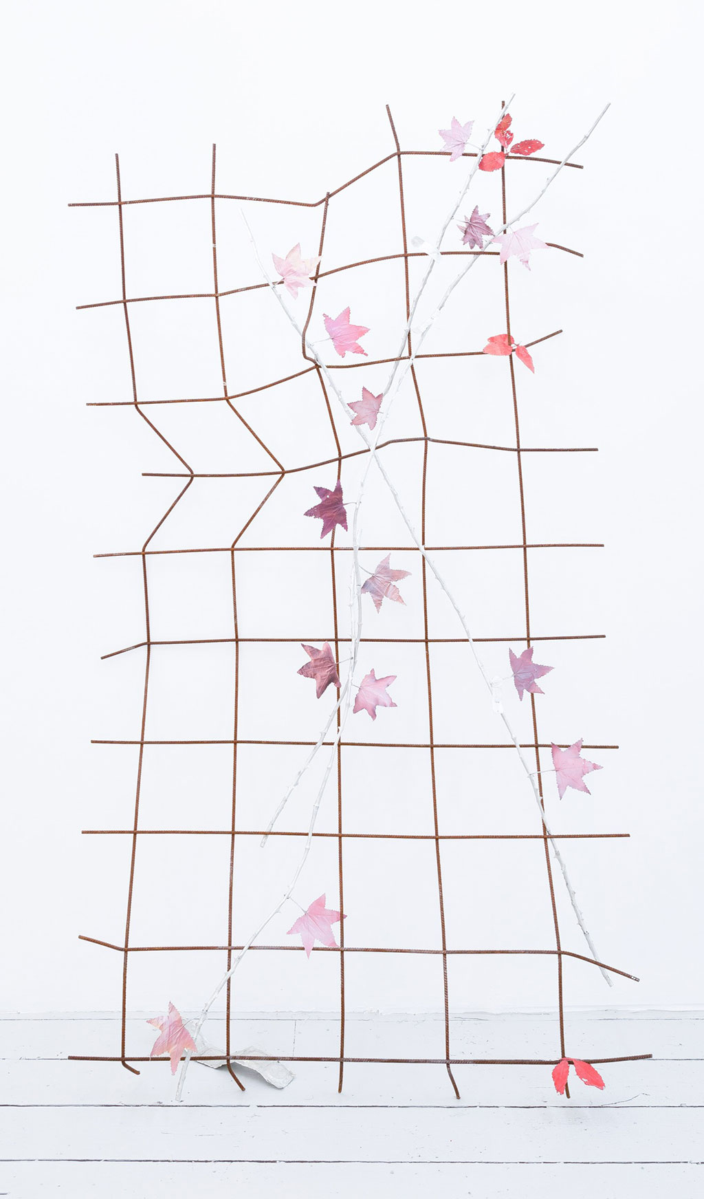 natalie dray
